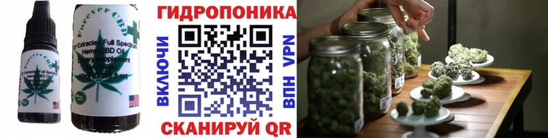 Купить закладки Корсаков Печенье с ТГК конопля