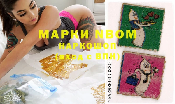 каннабис Инта