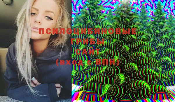 ECSTASY Зерноград
