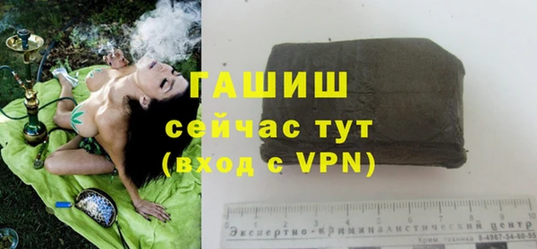 Альфа ПВП Инсар