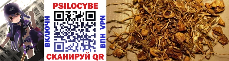 Купить закладки  Корсаков  Псилоцибиновые грибы Psilocybine cubensis 